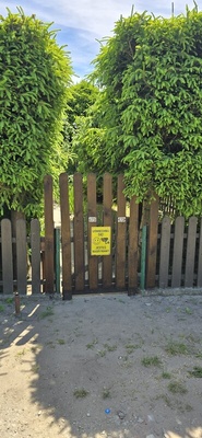 Elbląg Sprzedam wyjątkową działkę ROD REKREACJA