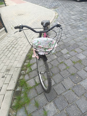 Elbląg Witam, mam do sprzedania sprawny kilkuletni rower górski z przerzutkami widoczny na zdjęciach w dobrym stanie,
