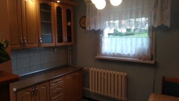 Elbląg Najem Okazjonalny