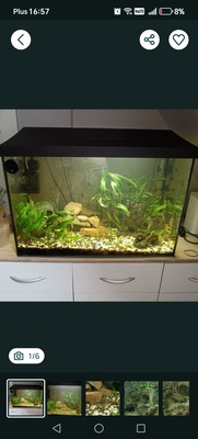 Elbląg Witam. Sprzedam akwarium 80l. Jest na gwarancji jak znajdę dam paragon. Pokrywa z oswietleniem (3 tryby). Z