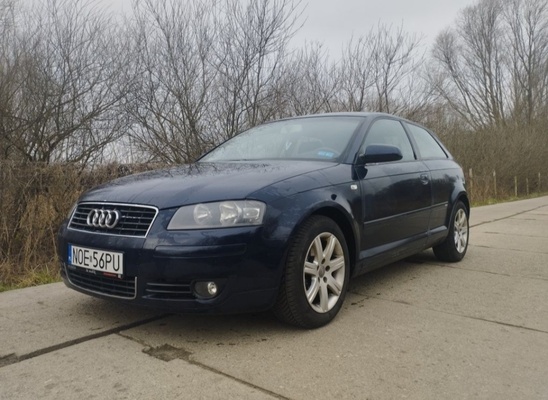 Elbląg Audi A3 8p 1.9 TDI z 2003 r.
