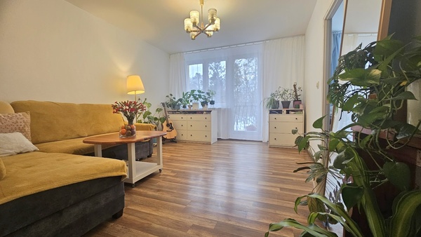 Elbląg KWADRAT NIERUCHOMOŚCI3 POKOJOWEBALKONWIDOK NA PARKMEDIA Z MIASTA&nbsp; 