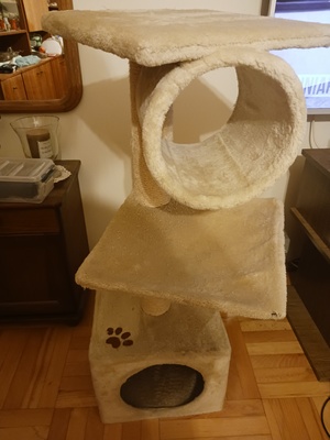 Elbląg Sprzedam drapak dla kota. Wysokość 101 cm.