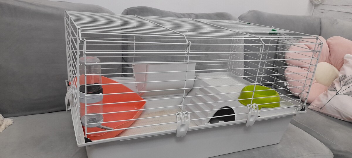 Elbląg Witam. Do sprzedania klatka dla chomika, świnki ewentualnie królika miniaturki. Klatka w bardzo dobrym stanie z