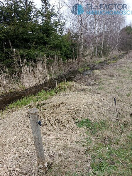 Elbląg 🏡 EL-FACTOR Nieruchomości - Sprzedam działkę w Pomorskiej Wsi!Działka niezabudowana, grunty klasy IVa