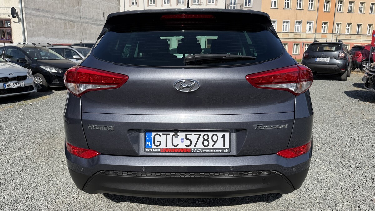 Elbląg Auto Leew LEWANDOWSKI