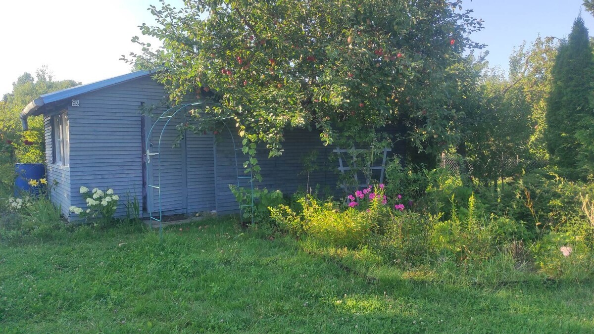 Elbląg Działka ROD Zagaje położona zdala od zgiełku i hałasu przy granicy Bażantarni w bezpośredniej bliskości lasu i