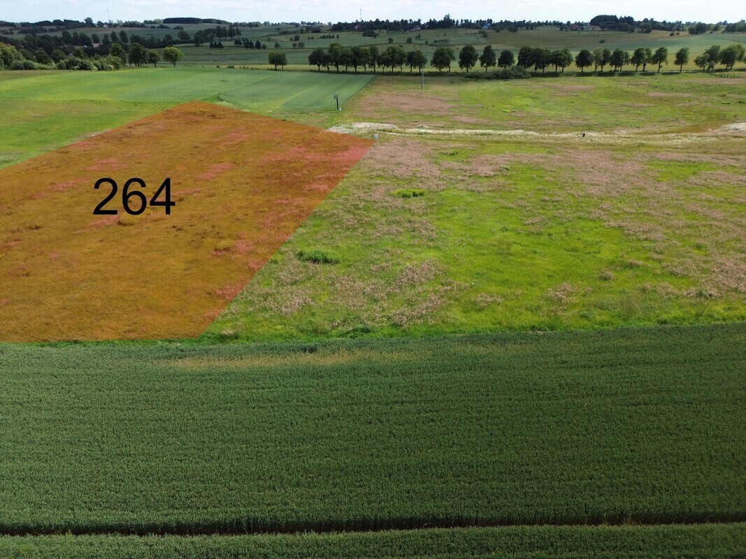 Elbląg NIERUCHOMOŚCI ANNA KRASZEWSKA Działka budowlana o pow.9645 m2 na nowopowstającym osiedlu domów jednorodzinnych
