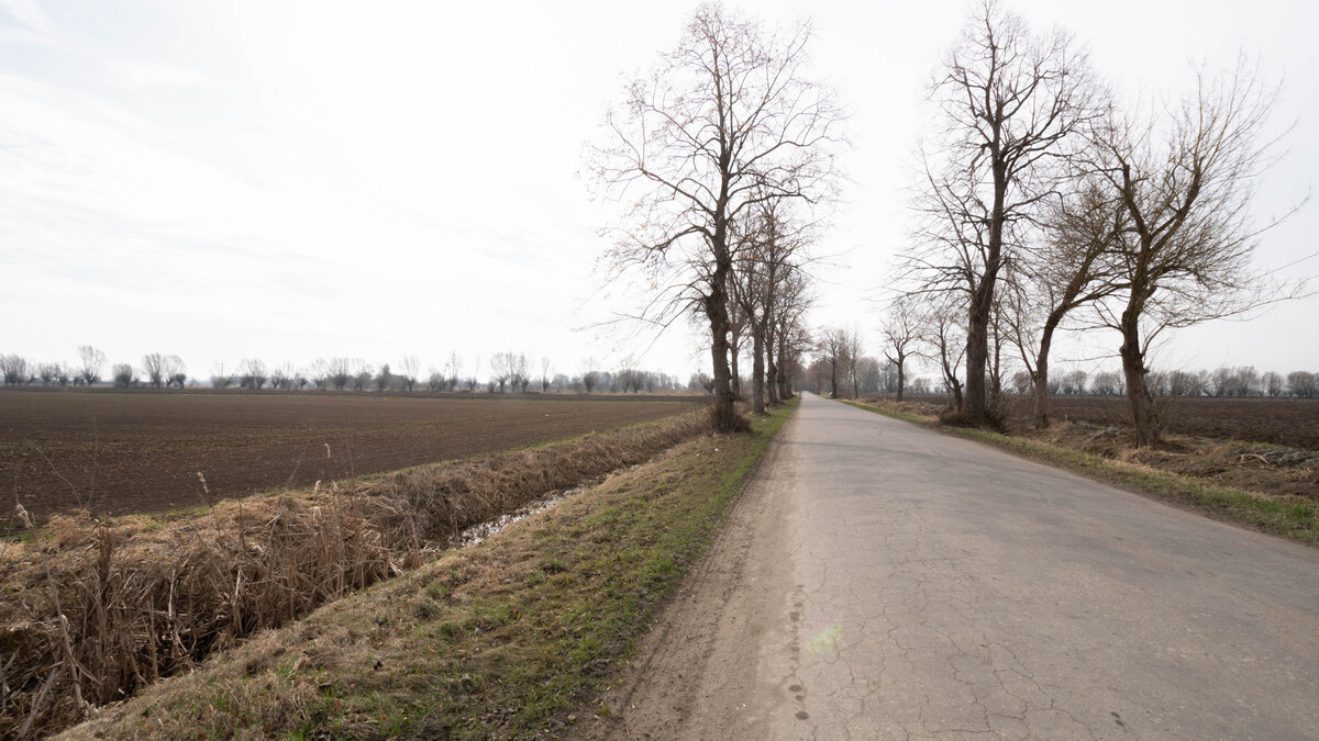 Elbląg * * * ABC NIERUCHOMOŚCI * * *20,48 ha POTENCJAŁU POD ELBLĄGIEM – inwestycja w ziemię, która pracuje na