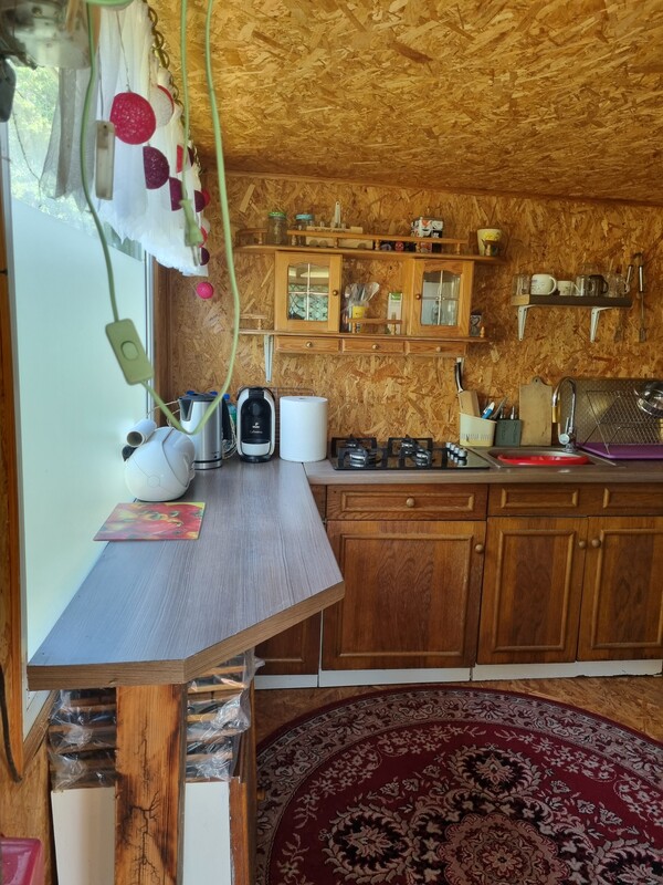 Elbląg 🌳 Działka ROD Bielany Wzgórze 🌞