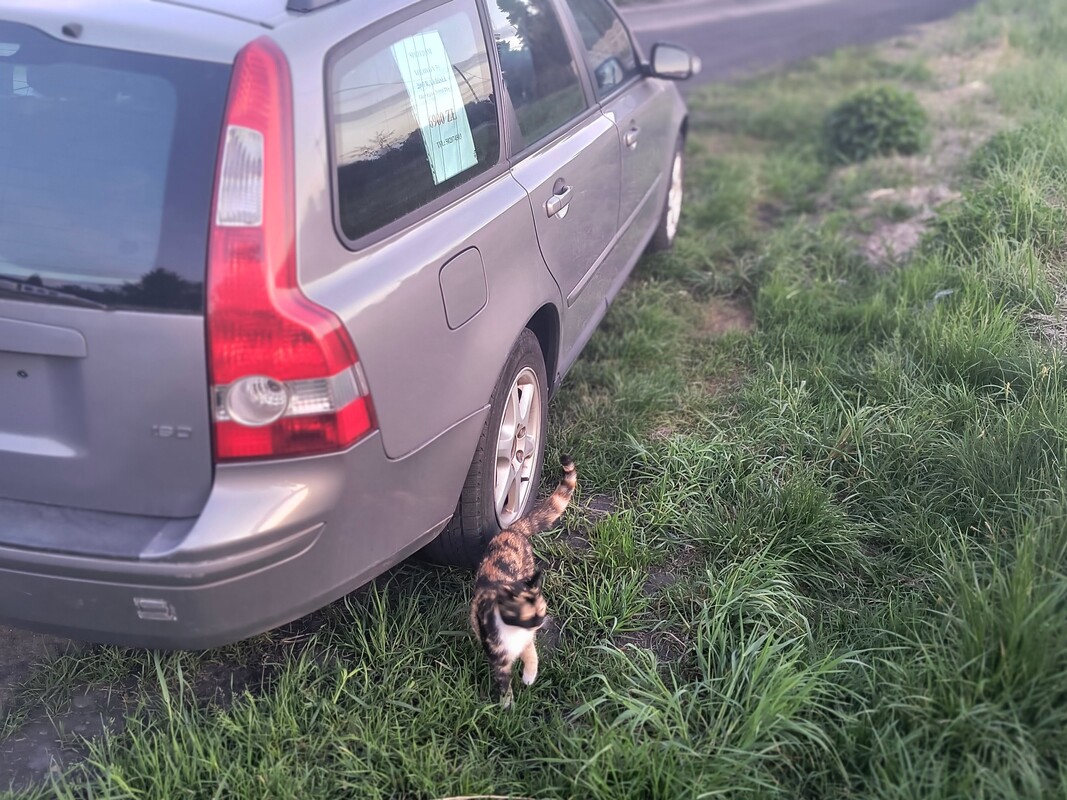 Elbląg Sprzedam Volvo V50 1.6 d wszystko sprawne nawet klimatyzacja zawieszenie w bardzo dobrym stanie zero wycieków 2