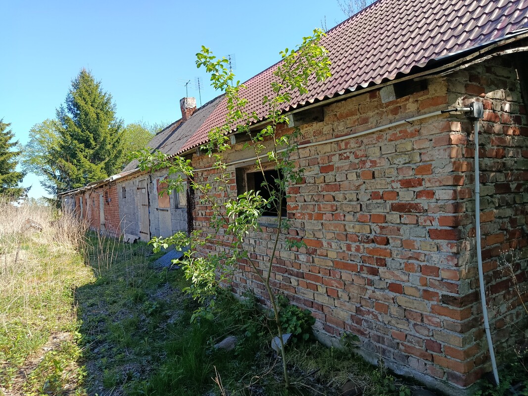 Elbląg Sprzedam ziemię z działką zabudowaną po gospodarstwie rolnym w Pomorskiej Wsi gmina Milejewo ok 13 km od