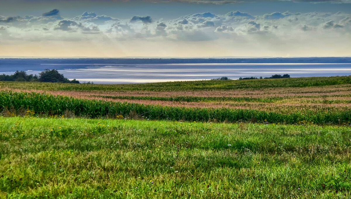 Elbląg * * * ABC NIERUCHOMOŚCI * * * POLECAMY! DZIAŁKA INWESTYCYJNA Z WIDOKIEM NA ZALEW WIŚLANYo