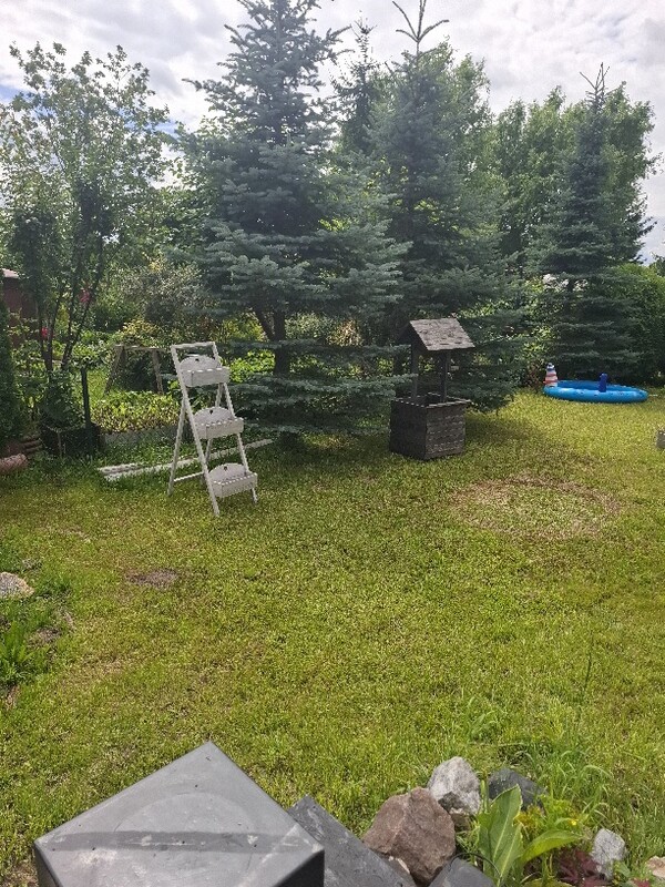 Elbląg Działka ROD PROMYK – Elbląg, ul. Akacjowa – 400 m² 🌿
💰 Cena: 25 000 zł
📞 Kontakt: 509 930 439
Na sprzedaż