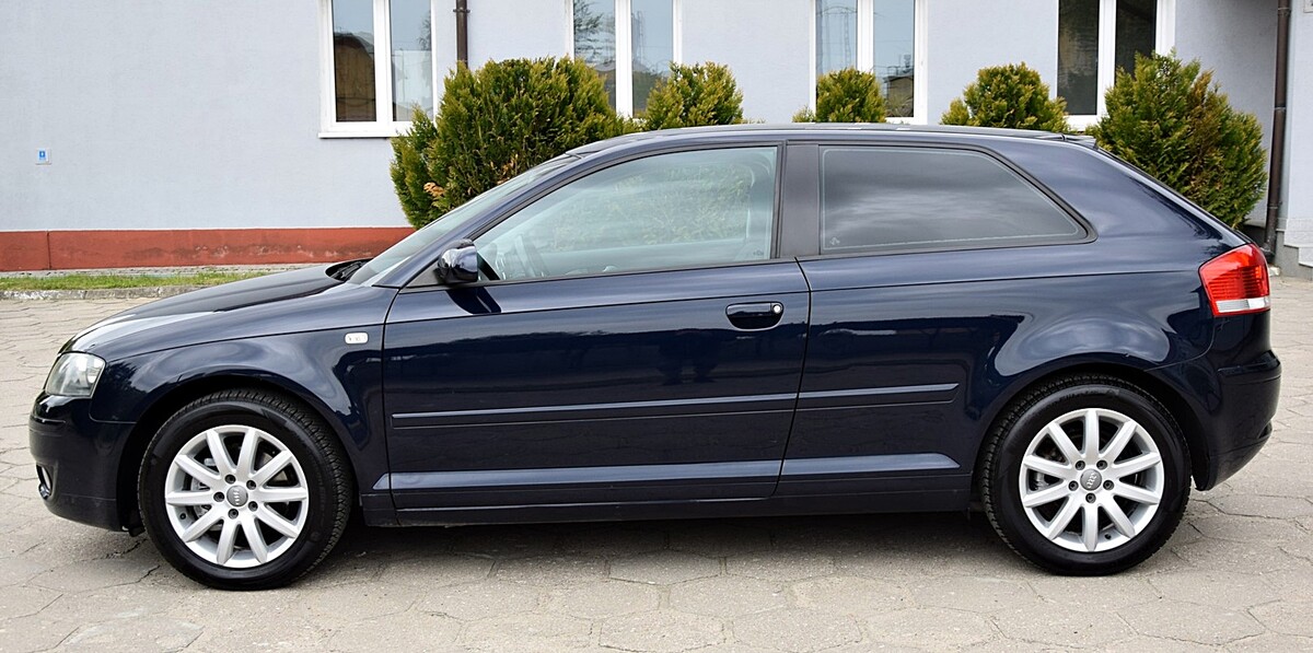 Elbląg Audi A3 HatchbeckSilnik 1.6 - 102 KMZadbany / garażowany
