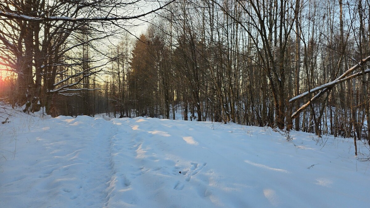 Elbląg BIURO NIERUCHOMOŚCISZULC& SZULCDziałka budowlana w miejscowości Elbląg ul. Jaworowa /Dąbrowa/ o
