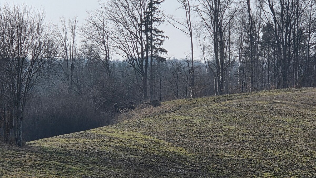Elbląg SZULC & SZULC BIURO NIERUCHOMOŚCI NA SPRZEDAŻDziałka budowlana - Stare Monasterzysko /gmina
