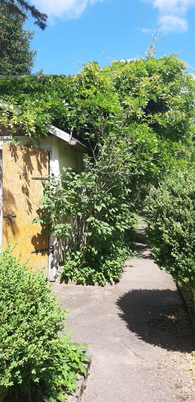 Elbląg Sprzedam ogródek działkowy ROD Słoneczne Wzgórze w Elblągu