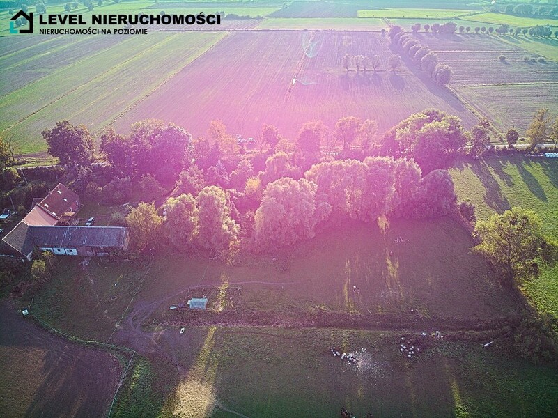 Elbląg LEVEL NIERUCHOMOŚCIDziałki pod miastemJezioroNIERUCHOMOŚCI NA POZIOMIE