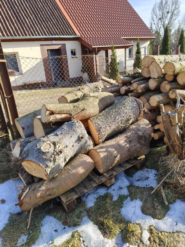 Elbląg witam,
sprzedam ok 2 i pół m3 świerka ściętego 6 miesięcy temu, pocięte na ok 1,2 m, grubsze na 0,6 m