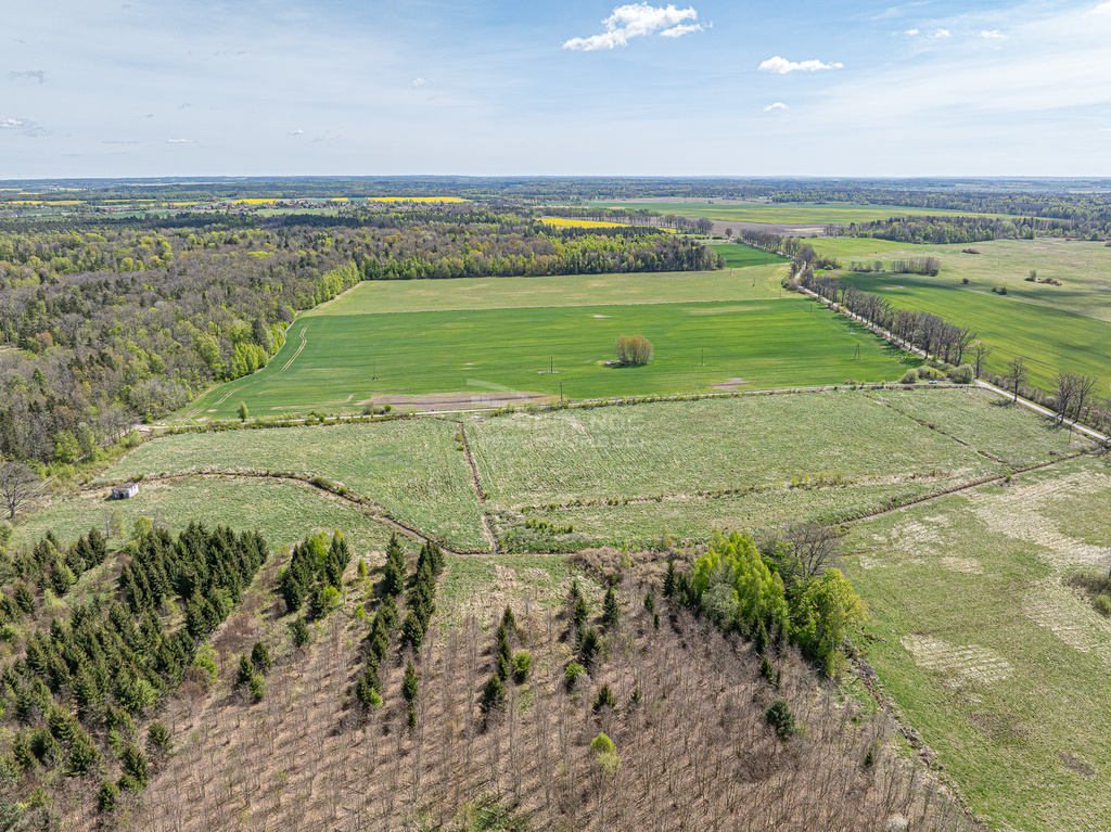 Elbląg PÓŁNOC NIERUCHOMOŚCISprzedam działkę - Pierławki. Na sprzedaż oferujemy grunt o łącznej powierzchni 6,2683