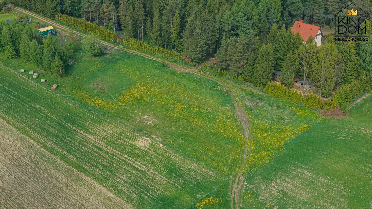 Elbląg KINGDOM NIERUCHOMOŚCI BLISKO CIEBIENA SPRZEDAŻ TRZY ATRAKCYJNE DZIAŁKIPOD ZABUDOWĘ JEDNORODZINNĄZ WYDANYMI