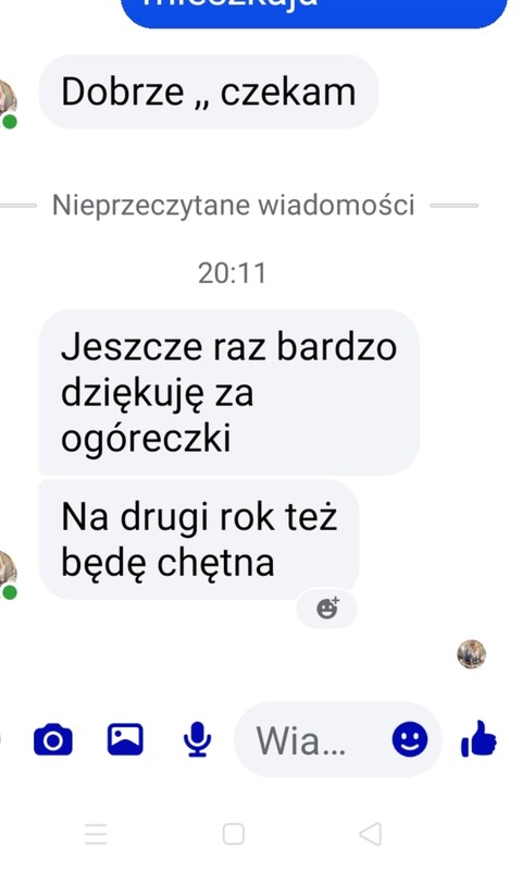 Elbląg Ogórki uprawiane na emach bez nawozów i oprysków