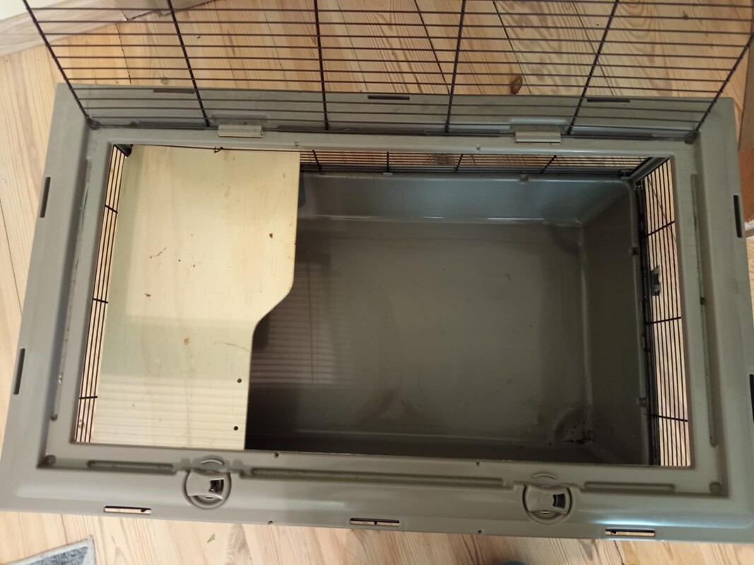 Elbląg Sprzedam klatke o wymiarach 80x47 wysokosc 35 stan bardzo dobry, idealnie nadaje sie dla swinki morskiej,