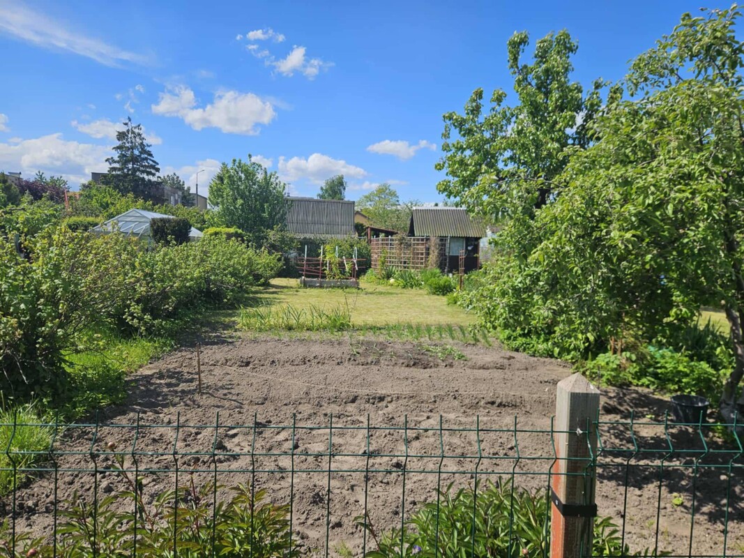 Elbląg Sprzedam działkę ROD przy Skrzydlatej