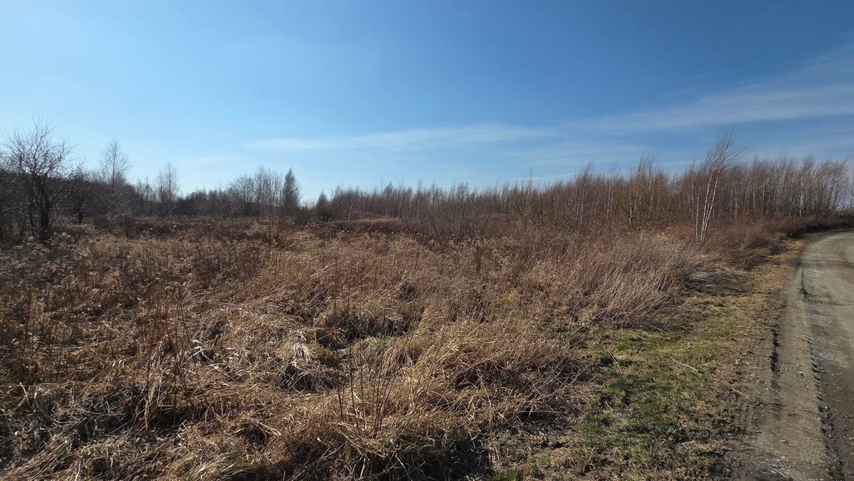 Elbląg SZULC & SZULC BIURO NIERUCHOMOŚCI Działka budowlana - Łęcze, gmina