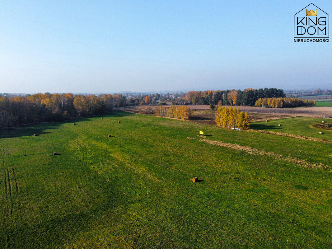 Elbląg 👑🏠 KINGDOM 🏠👑NIERUCHOMOŚCI BLISKO CIEBIE DZIAŁKI POD ZABUDOWĘ