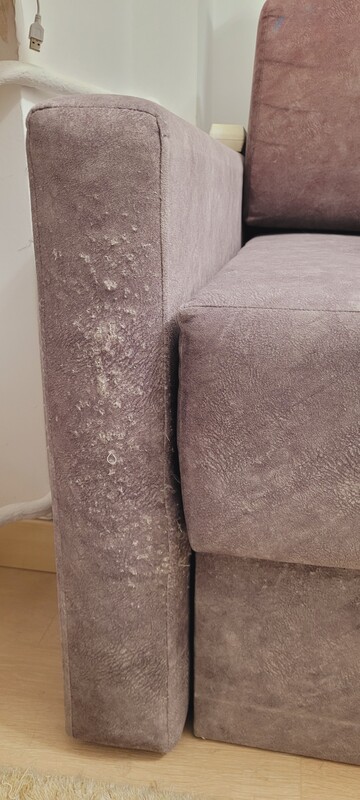 Elbląg Sprzedam rozkładaną kanapę, wierzchnia tapicerka na bokach potraktowana przez kocie pazurki (widoczne na