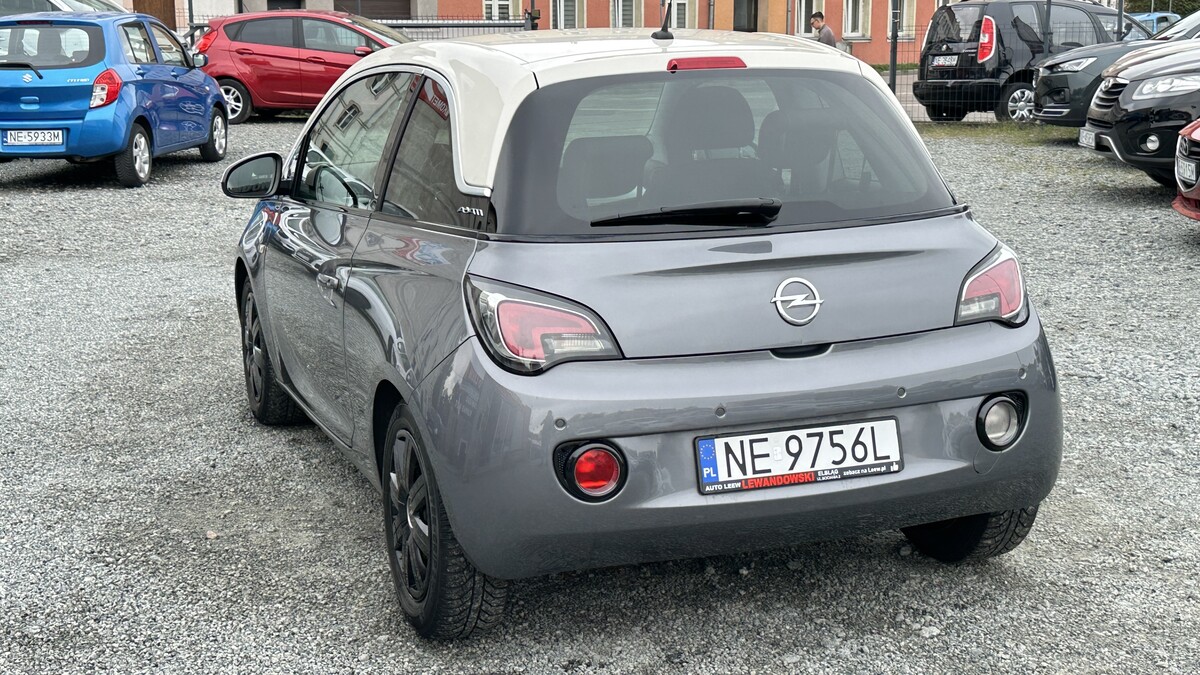 Elbląg Auto Leew LEWANDOWSKI Kupujemy i Sprzedajemy tylko dobre auta Za auta z Polskiego Salonu Płacimy Najwięcej OPEL