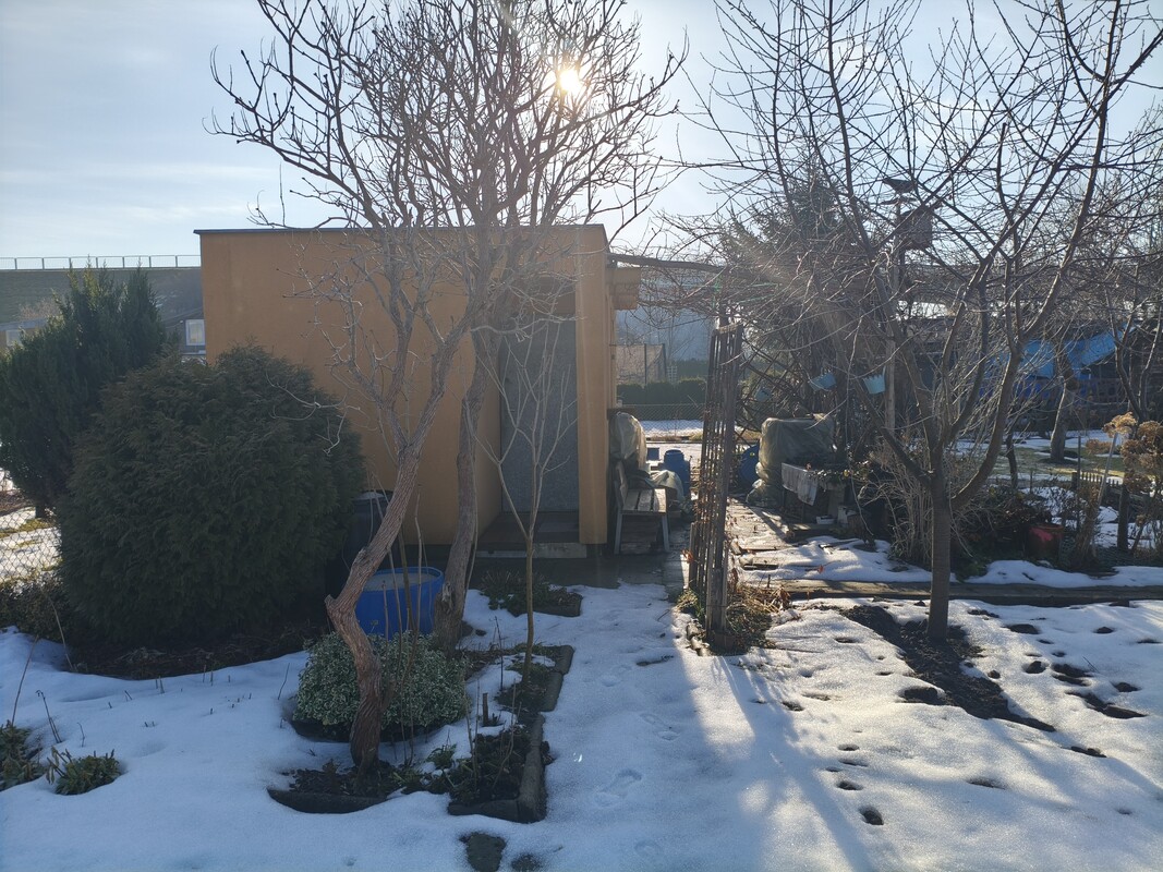 Elbląg 🌿 Twój zielony azyl w mieście! Wyjątkowa działka ROD przy ul. Druskiej na sprzedaż! 🏡