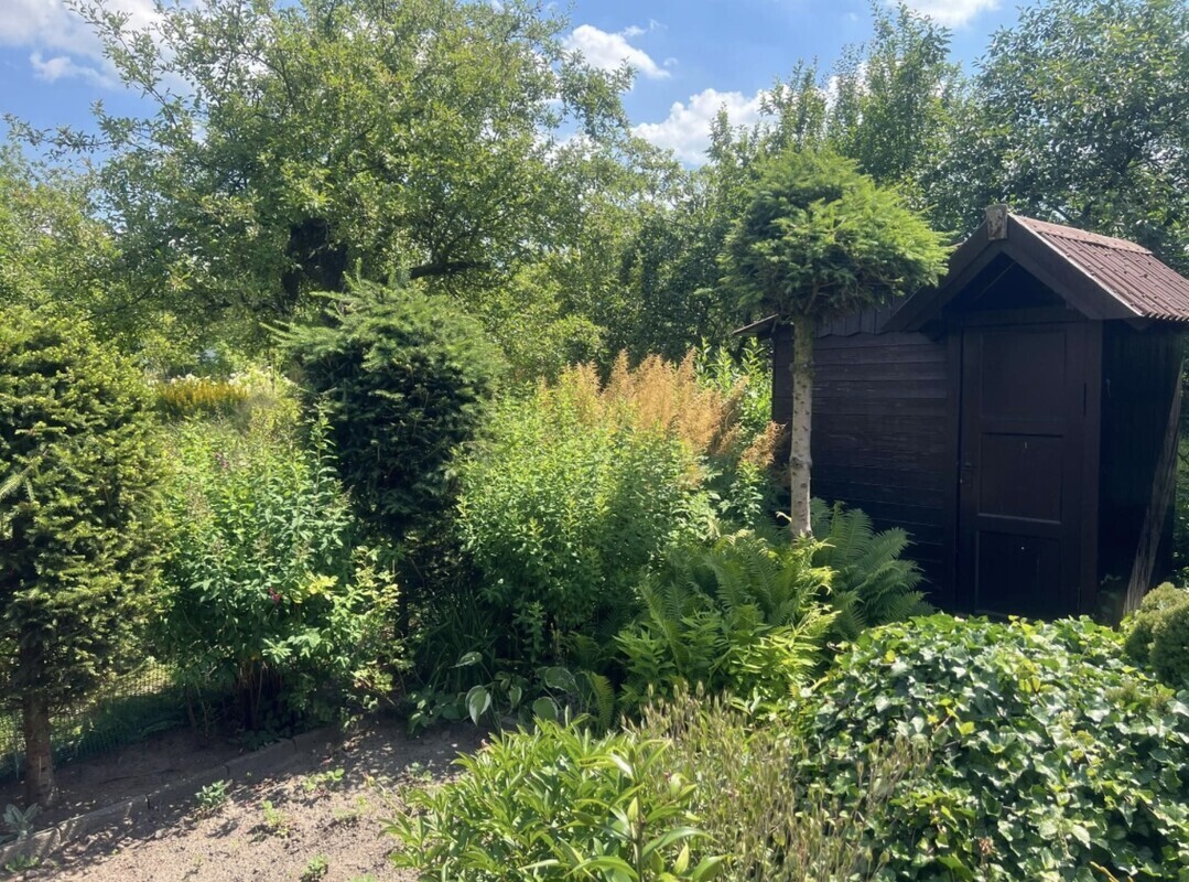 Elbląg Sprzedam działkę ogrodową w Elblągu przy ulicy Kościuszki o powierzchni 392 m2.Na działce znajduje się