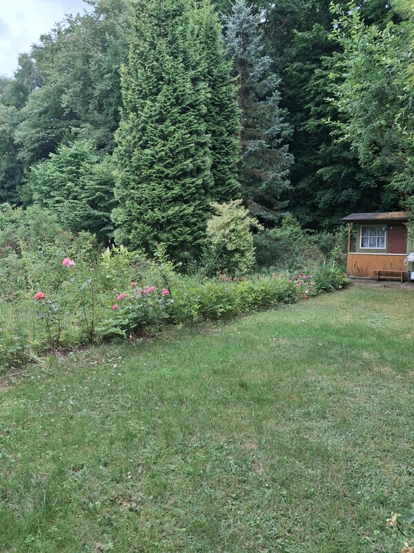 Elbląg 🌳 PILNIE SPRZEDAM! DZIAŁKA REKREACYJNA nr 75 w ROD BAŻANTARNIA – ELBLĄGCENA: 11.500 zł! | Tel.