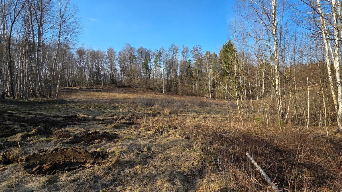 Elbląg SZULC & SZULC BIURO NIERUCHOMOŚCI NA SPRZEDAŻDziałka budowlana - Elbląg ul. JaworowaPowierzchnia: 5075 m2