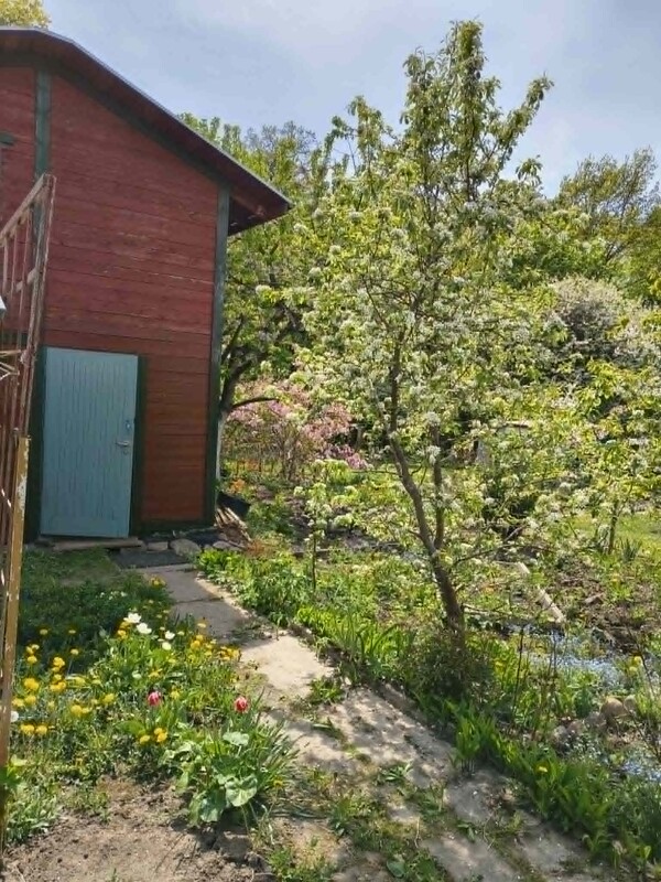Elbląg Sprzedam działkę ROD 341 m² – Elbląg, ROD im. Marii Curie-SkłodowskiejCena: 35 000 zł (do negocjacji)