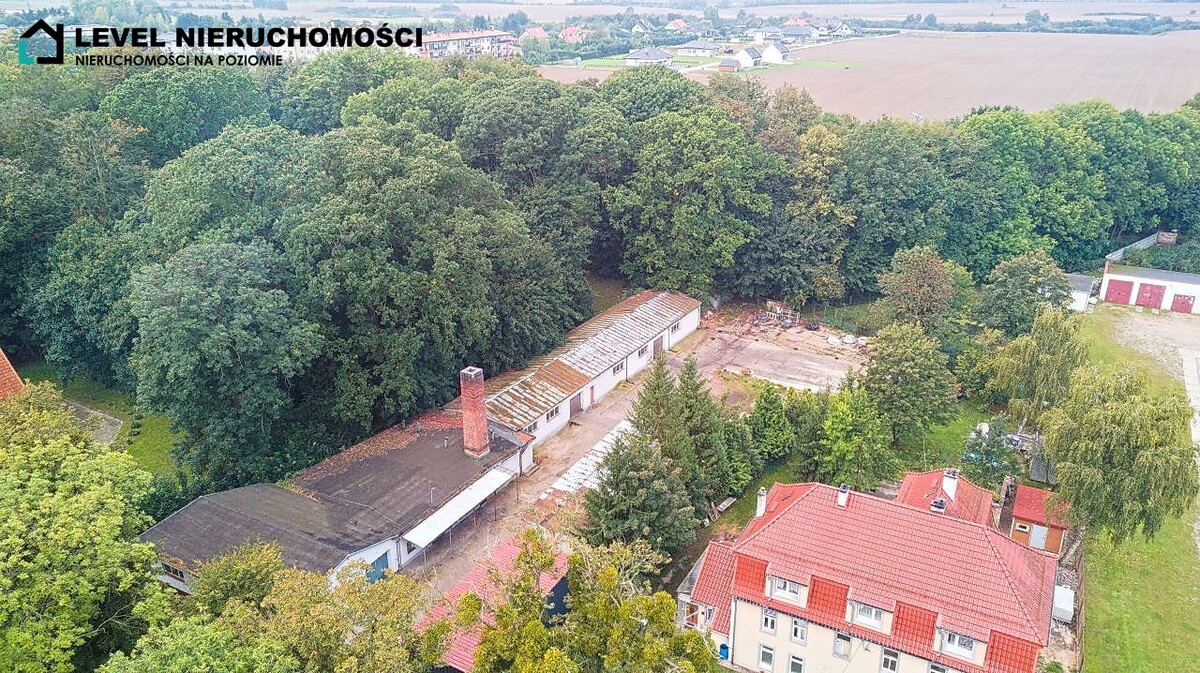 Elbląg LEVEL NIERUCHOMOŚCI Obiekt inwestycyjny w Pasłękuul. Bohaterów Westerplatte NIERUCHOMOŚCI NA