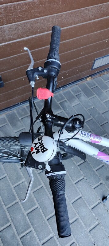 Elbląg Sprzedam rower górski dziecięcy.