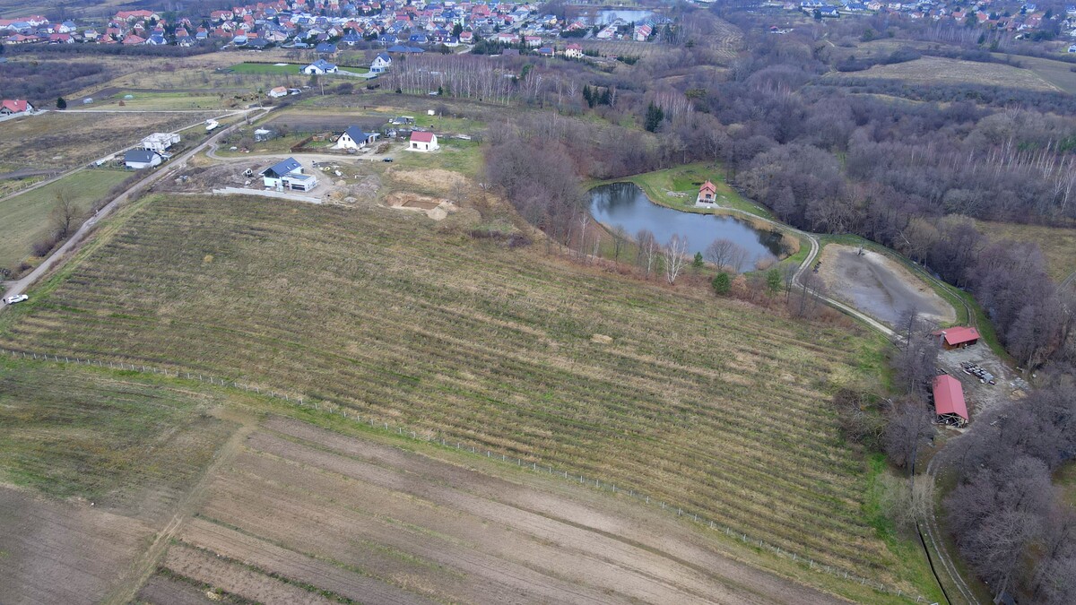 Elbląg TO MY SPRZEDAJEMYNIERUCHOMOŚCI W TYM MIEŚCIEBIURO NIERUCHOMOŚCIAMERICAN HOMEFOR SALE - DZIAŁKA TOLKMICKO