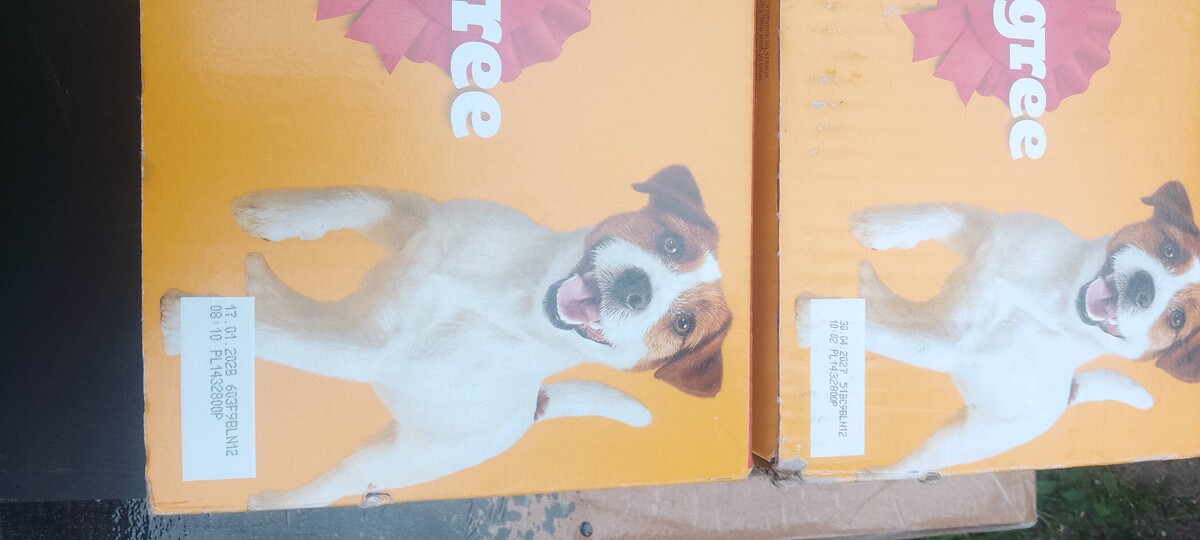 Elbląg Mam do odsprzedania dwie paczki Pedigree po 40 paczuszke 100 g! Locznie 80 szt cena jaka mnie interesuje 110