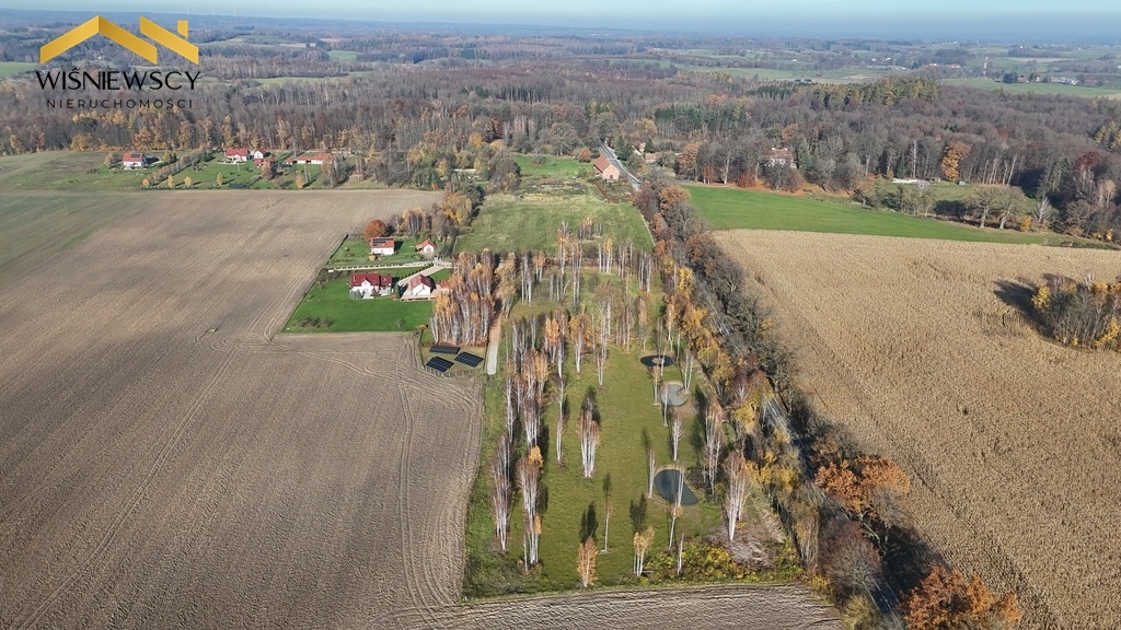 Elbląg WIŚNIEWSCY NIERUCHOMOŚCI Sp. z o.o.Sprzedam działkę - Dawidy. Oferta sprzedaży działki rolnej z wydaną
