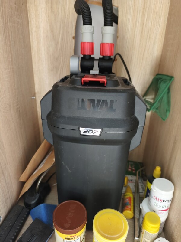 Elbląg Akwarium 112l z pokrywą
Filtr fluval 207
Grzałka Aquael
Napowietrzacz
Z życia: 4 gurami, 2 glonojady, 4
