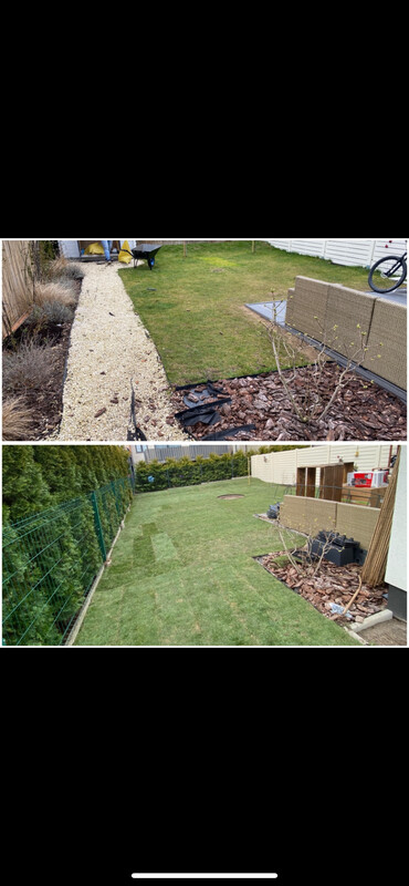 Elbląg Elbląg Usługi Ogrodnicze Zakladanie trawników