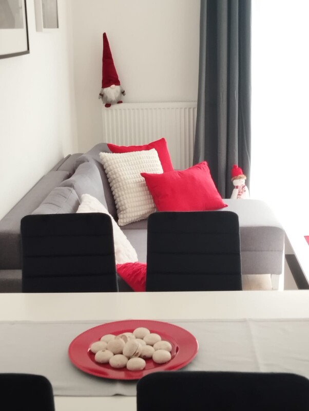 Elbląg 2 pokojowe mieszkanie z balkonem w nowoczesnym bloku z windą z naziemnym miejscem postojowym w cenie.