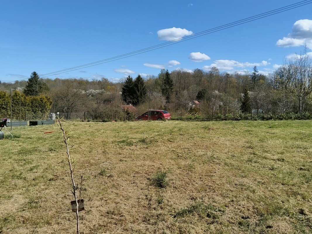 Elbląg Sprzedam prawo do użytkowania - działka rekreacyjna ROD – Zagaje, ul. Łęczycka, 500 m².