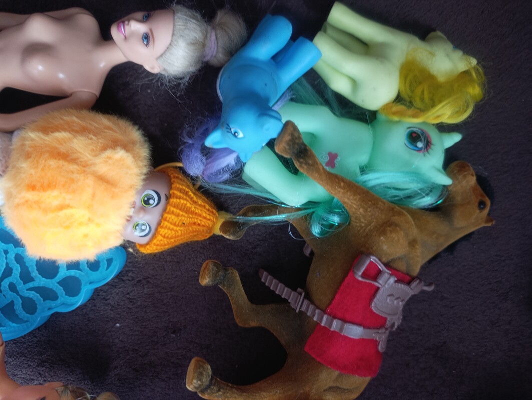 Elbląg Sprzedam zestaw lalek barbie i w typie. Dodatkowo koniki i samolot Polly pocket w stanie jak na zdjęciach. Cena