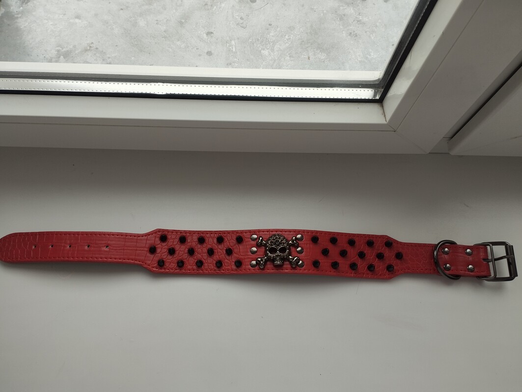 Elbląg Witam sprzedam smycz ze skóry krokodyla roz. S nie używana nowa. Polecam