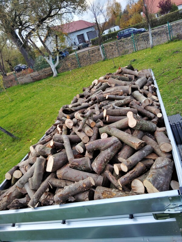 Elbląg Sprzedam drewno opałowe mieszane liściaste (buk, dąb, grab, brzoza, olcha, jesion, jawor)Zarówno metry, jak i